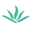 trx-back.pages.dev favicon